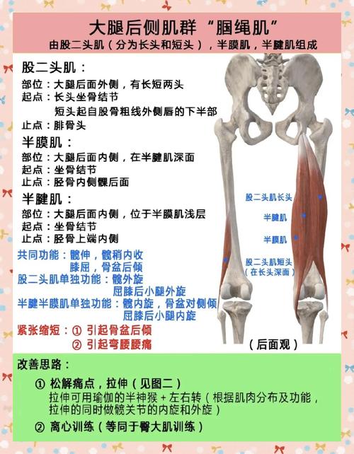 都体：卡巴尔右大腿后侧肌肉受伤，预计将在周四接受检查